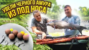 КАРПОВАЯ РЫБАЛКА НА МЕГА НАСАДКИ И НОВЫЙ МОНТАЖ. Черные амуры на Золотом Берегу и новый BIG FISH.