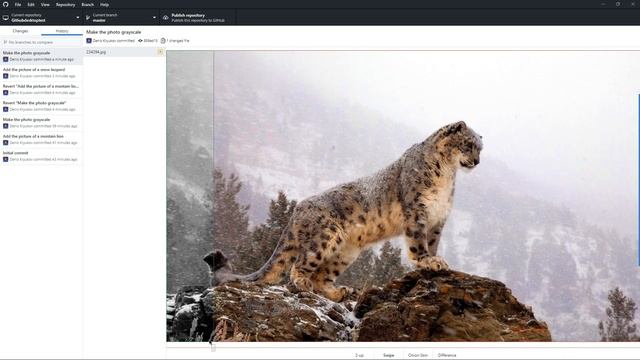 Expanded Image Diff Support Demo in GitHub Desktop смотреть онлайн