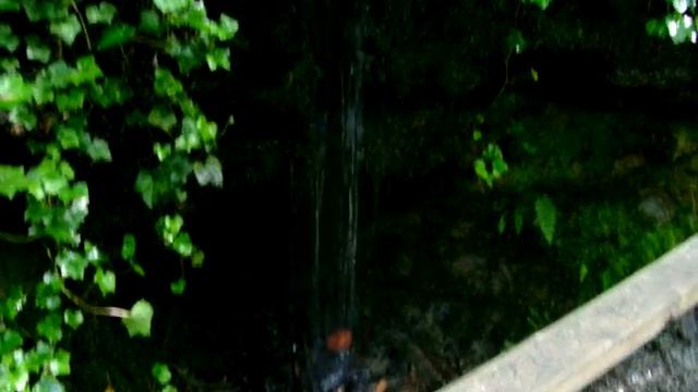 Natural Spring at Eureka City Park смотреть онлайн