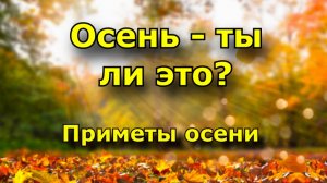 Вот и осень, а какой будет зима? Подскажут народные приметы про осень