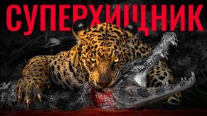Настоящий Король Джунглей. Биология самого универсального суперхищника