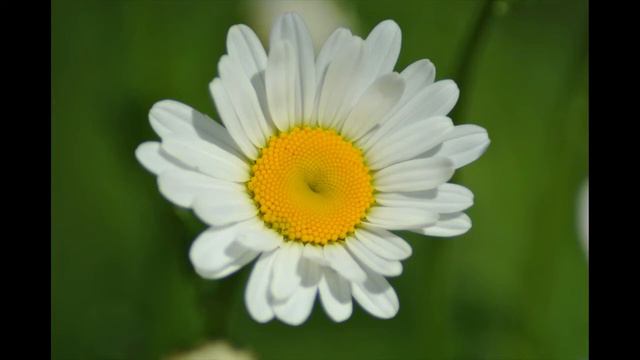 4-16-4-4 Rhythmic breathing. смотреть онлайн