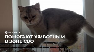 Помогают животным в зоне СВО