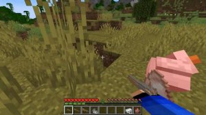 ОГНЕСТРЕЛЬНОЕ ОРУЖИЕ В МАЙНКРАФТ | ОБЗОР МОДА MINECRAFT Pirate Guns