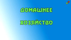 Преимущества и недостатки проживания в частном доме