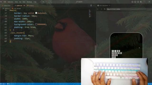 ASMR Programming - IOS Calculator -  HTML CSS and JavaScript