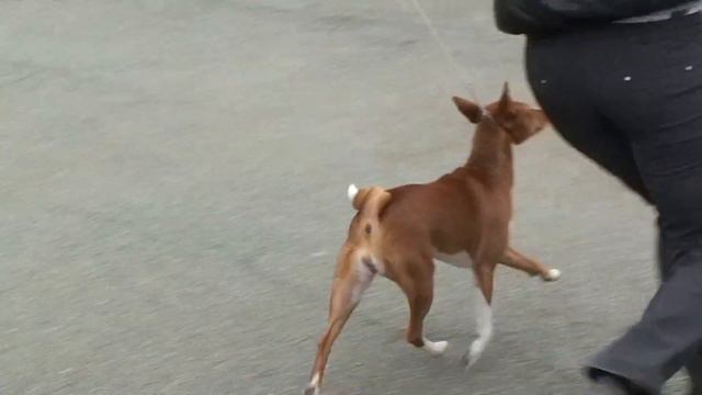 Шаде г Артем 13 05 2012 смотреть онлайн