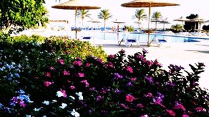 Paradise Club Shoni Bay 4* Марса-Алам, Египет