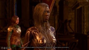 Финальный сбор союзников в Baldur`s Gate 3