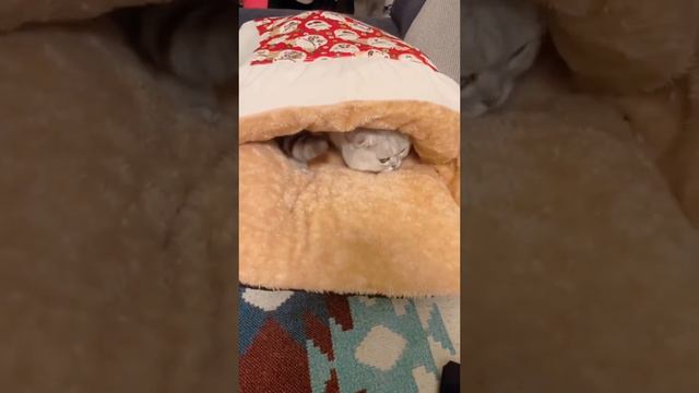 Это одеяло только для меня