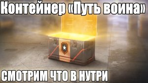 НОВЫЕ КОНТЕЙНЕРЫ ✅ПУТЬ ВОИНА✅ Kpz. Pr.68 (P) Будет Главной Наградой?! ОБЗОР