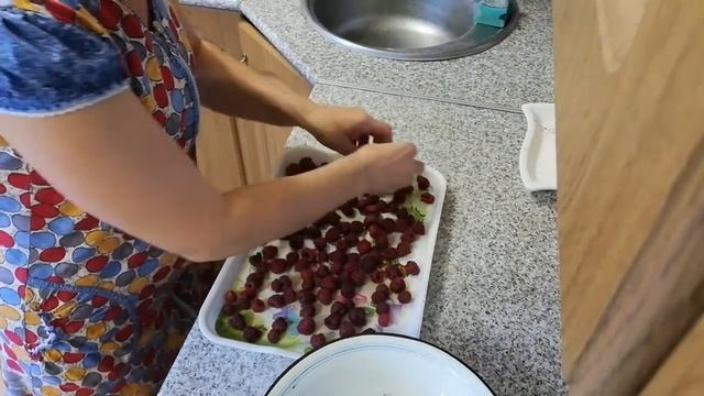 Как правильно заморозить малину на зиму смотреть онлайн