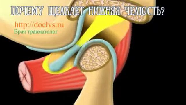 Почему щелкает нижняя челюсть?