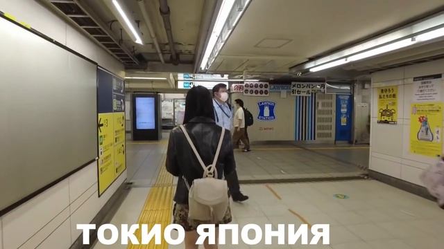 МОСКВА или ТОКИО Продвинутая Япония или отсталая Россия В шоке от цены в туалете Московского метро