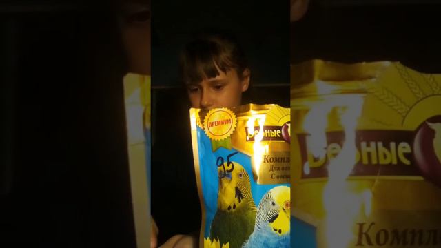 Разговоры про разных 3 животных смотреть онлайн