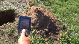 Золотое кольцо на глубине! Тестим разные прошивки на Minelab Equinox 600