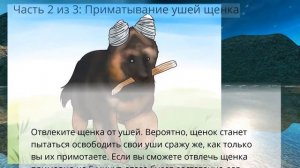 Как поставить непослушные уши у щенка немецкой овчарки