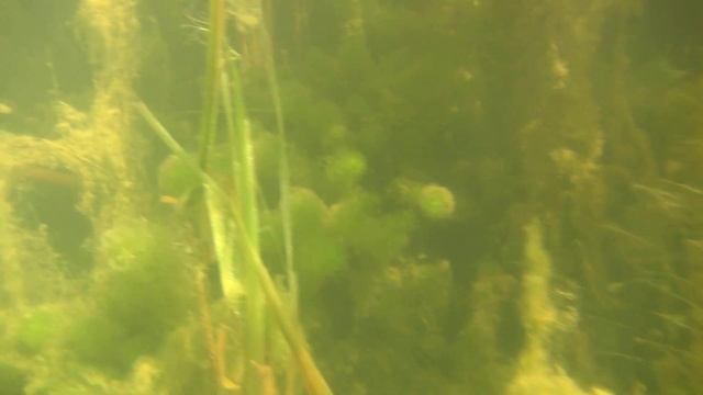 Амерьевский карьер 20.06.2021 смотреть онлайн