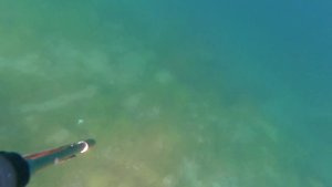 Ныряем за крабом потом варим его в Магадане.