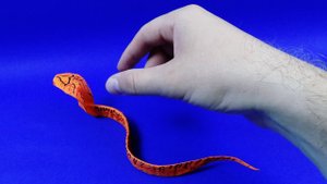 Как сделать змею из бумаги - Оригами змея. A snake of paper. How to make origami Cobra