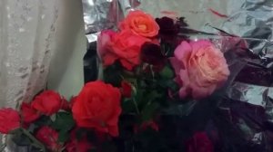 Розы на подоконнике (12.06.2018)