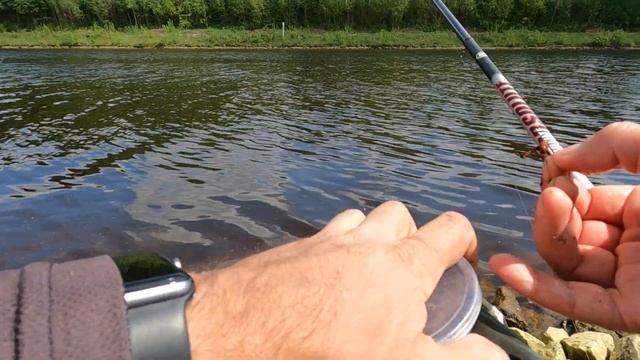болонская ловля. cralusso surf. cralusso golf. болонский поплавок. ловля плотвы.