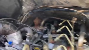 Бомбовая Газель от Вартана, получается конфетка?