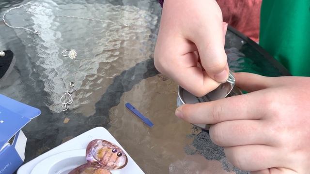 Сочи Лазаревское купили необычный подарок ? жемчужина в раковине моллюска ? смотреть онлайн