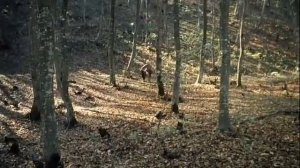 Свой среди чужих, чужой среди своих