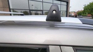 yeti