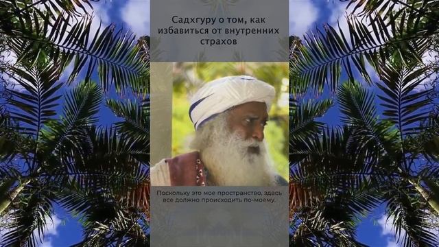 Садхгуру — страхи опредялятся вами на 100% смотреть онлайн