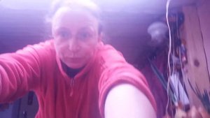 Начало дерева Туласи