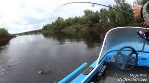 ЯРКИЕ МОМЕНТЫ НА ОХОТЕ И РЫБАЛКЕ