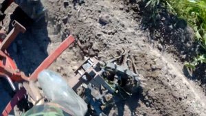 Культиватор "Еж" с мотоблоком МТЗ обработка картофеля