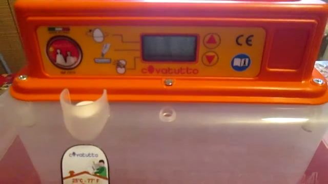 Инкубатор Covatutto 24 Digitale Италия и вывод цыплят.