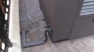 Генератор в мини контейнере