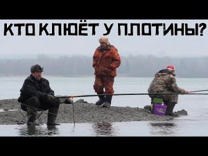 ШОКИРУЮЩАЯ рыбалка в НОЯБРЕ! Растаял лёд и НАЧАЛОСЬ! Кто клюет у ПЛОТИНЫ?!