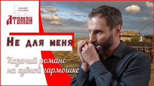 "Не для меня" на губной гармошке, Илья Копылов, Казачий ансамбль Атаман