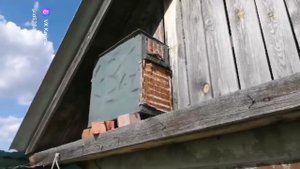 21 мая 2024 г.