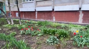 Переехали из Забайкалья в Нижний Новгород .Обычные майские дни в Нижнем Новгороде