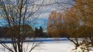 Главный Ботанический Сад. Зимний день.