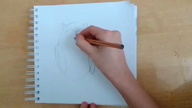 Рисуем сову смотреть онлайн