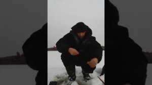 аракуль озеро челябинская обл