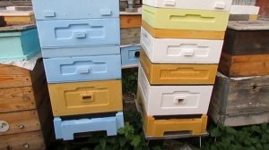 ответы на вопросы по пчеловодству - в какой цвет лучше красить улей чтобы меда было больше