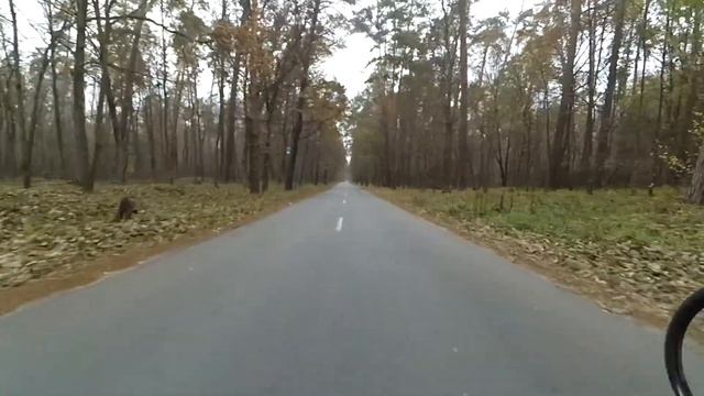 Воскресная вылазка смотреть онлайн