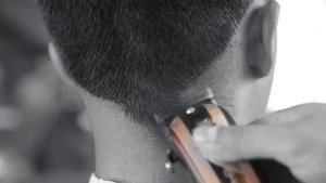 WAHL Cord/Cordless Legend Clipper 08594-016