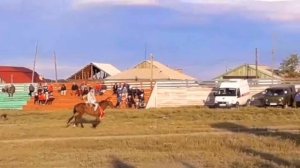 Тыва аът