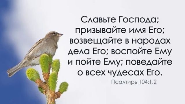 Молодёжное Христианское пение. Альбом песен. МСЦ ЕХБ