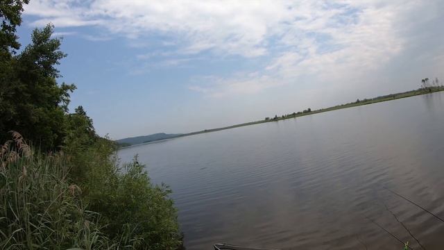 Ловим карасей и сазанов.  Рыбогрибалочка в Амурской области.