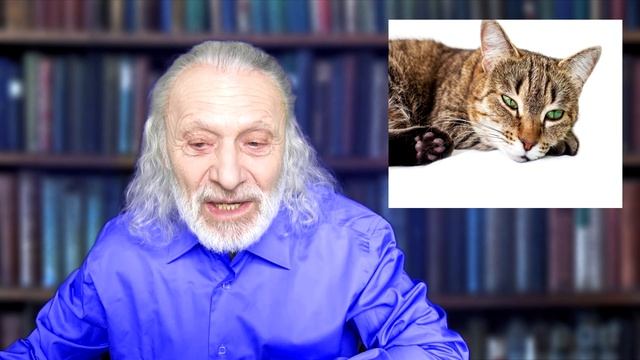 Лекция В.М. Лейбина "Фрейд: нарциссическая кошка" смотреть онлайн